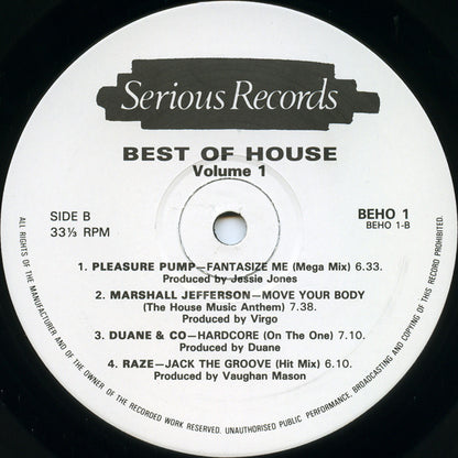 Various : Best Of House Volume 1 (LP, Comp)