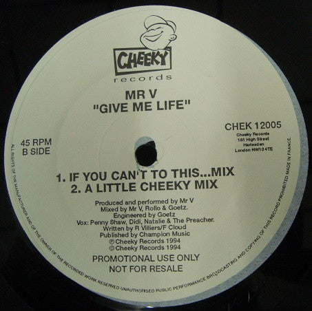 Mr. V.* : Give Me Life (12", Promo)