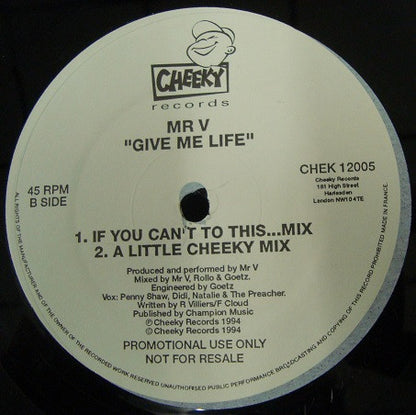 Mr. V.* : Give Me Life (12", Promo)