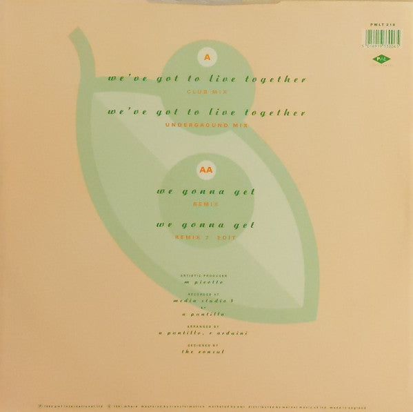 R.A.F. : We've Got To Live Together (12")