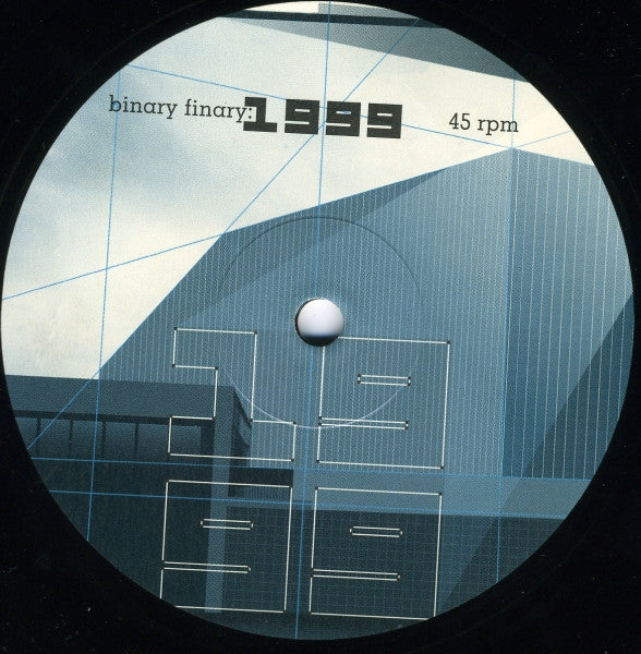 Binary Finary : 1999 (2x12")