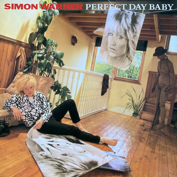 Simon Warner : Perfect Day Baby (12")
