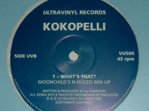 Kokopelli : What's That? (12")