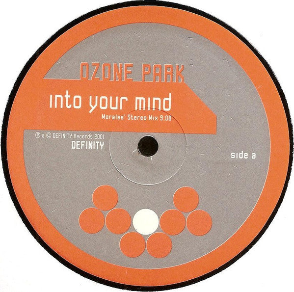 Ozone Park : Into Your Mind / D Journey (12")