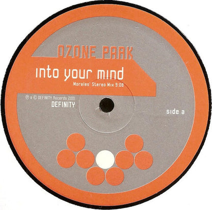 Ozone Park : Into Your Mind / D Journey (12")