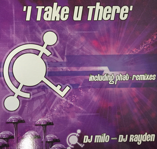DJ Milo Meets DJ Rayden : I Take U There (12")