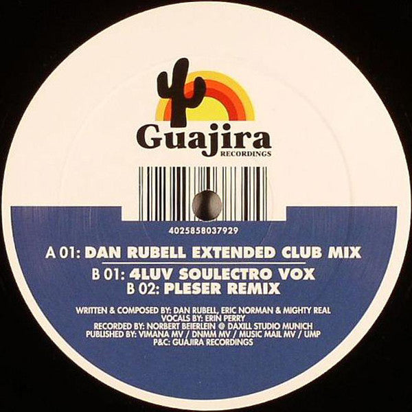 Dan Rubell Feat. Erin Perry : In The Sunshine (12")