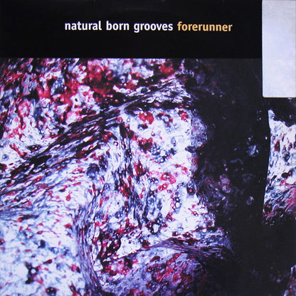 Natural Born Grooves : Forerunner (12")