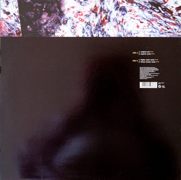 Natural Born Grooves : Forerunner (12")