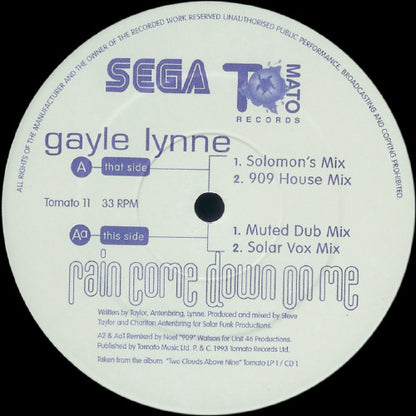 Gayle Lynne : Rain Come Down On Me (12")