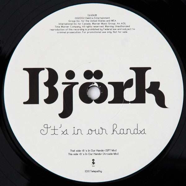 Björk : It's In Our Hands (12", Single, Promo)
