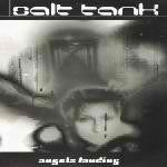 Salt Tank : Angels Landing (12")