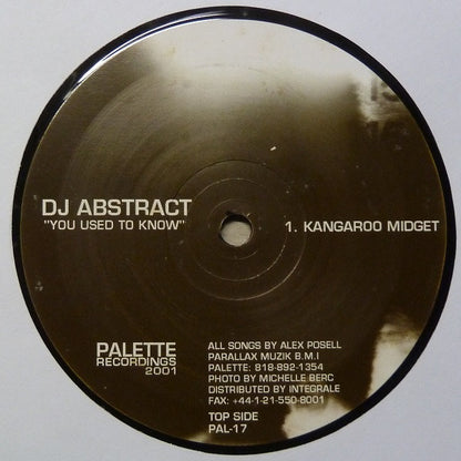 DJ Abstract : You Used To Know (12")