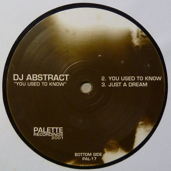 DJ Abstract : You Used To Know (12")