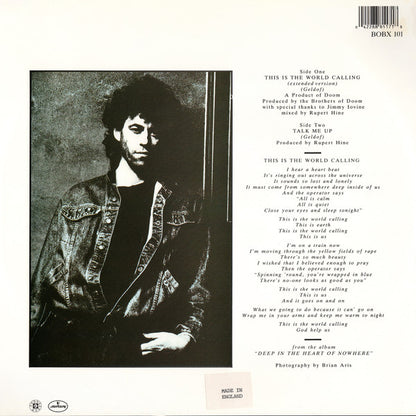 Bob Geldof : This Is The World Calling (12", Single)