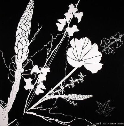 NSI : Max Binski (12")