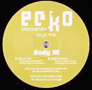 Andy M (2) : What A Night / Selina's Sickness (12")