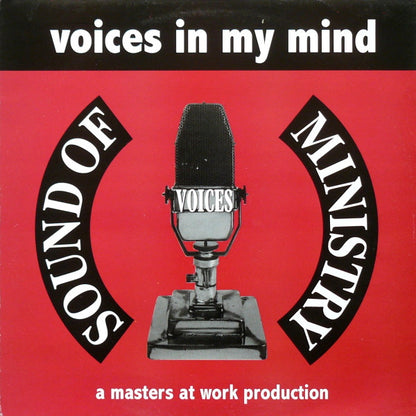 Voices : Voices In My Mind (12")