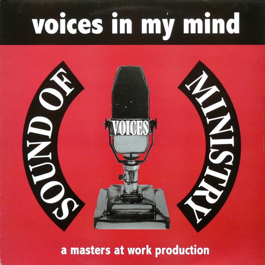 Voices : Voices In My Mind (12")