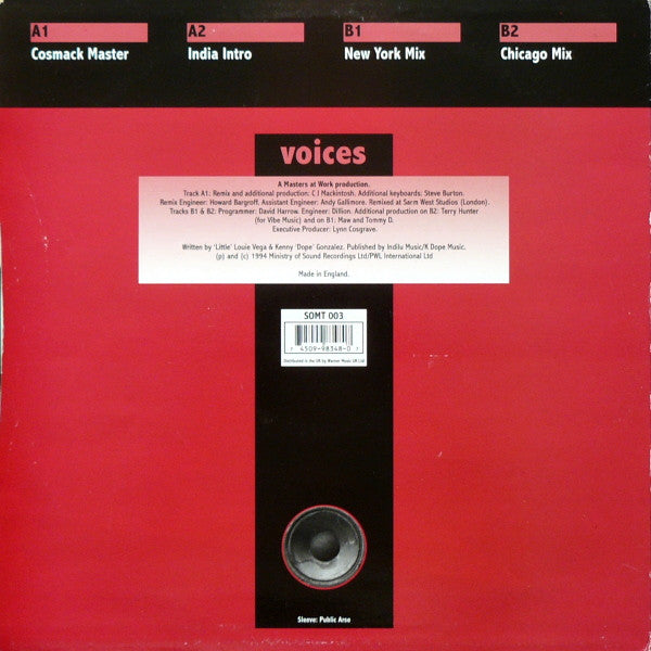Voices : Voices In My Mind (12")