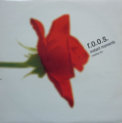 R.O.O.S. : Instant Moments (Waiting For) (12")