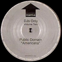 Public Domain / Vince Nysse : DJs Only (Volume Two) (12", Ltd)