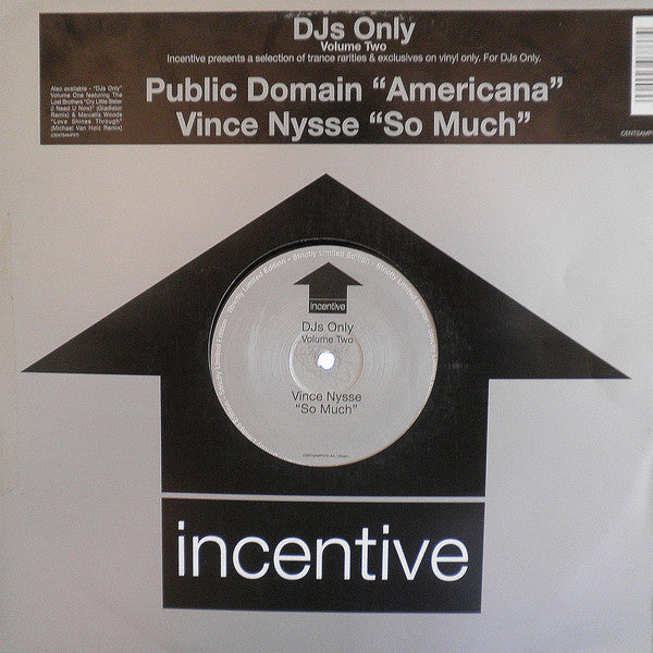 Public Domain / Vince Nysse : DJs Only (Volume Two) (12", Ltd)