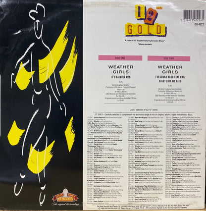 The Weather Girls : It's Raining Men (12")