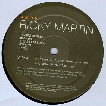 Ricky Martin : Amor (12", Promo)