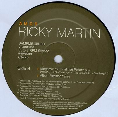 Ricky Martin : Amor (12", Promo)