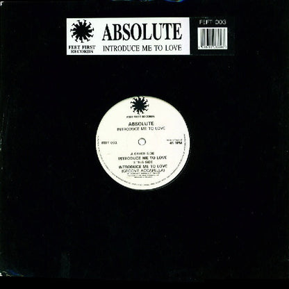 Absolute (2) : Introduce Me To Love (12")