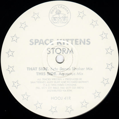 Space Kittens : Storm  (12", 2/2)