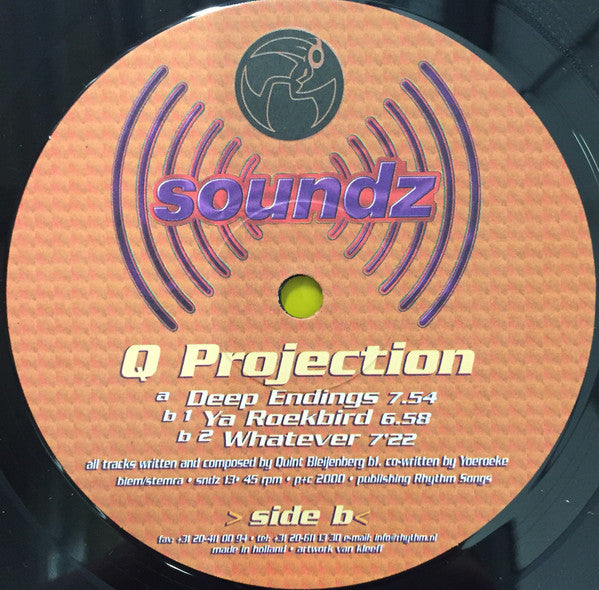 Q Projection : Deep Endings (12")