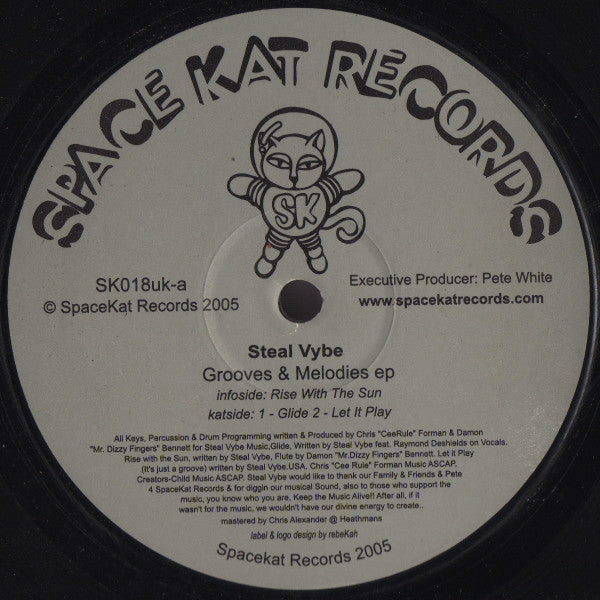 Steal Vybe : Grooves & Melodies EP (12", EP)