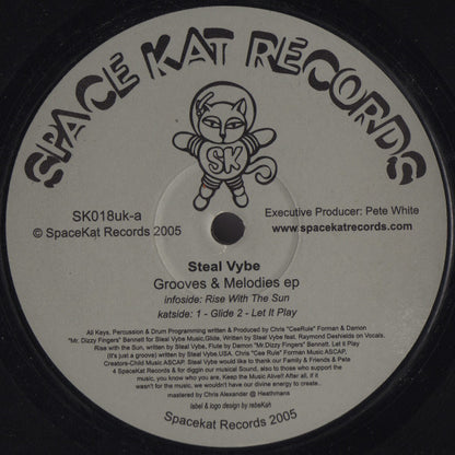 Steal Vybe : Grooves & Melodies EP (12", EP)