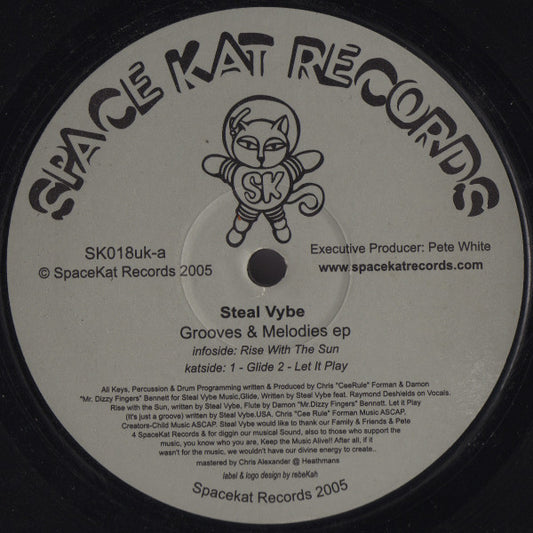 Steal Vybe : Grooves & Melodies EP (12", EP)