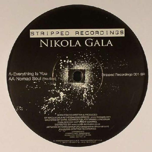 Nikola Gala : Everything Is You (12")