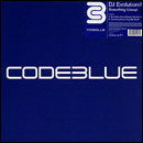 DJ Evolution : Something Unreal (12")