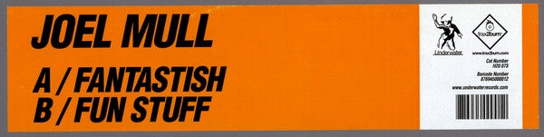 Joel Mull : Fantastish / Fun Stuff (12")