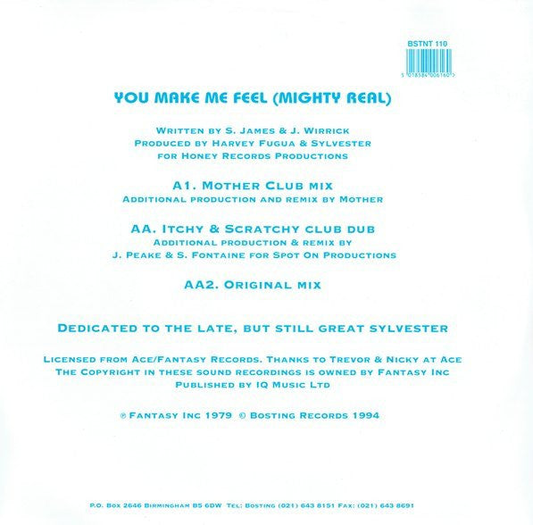 Sylvester : You Make Me Feel (Mighty Real) (12")