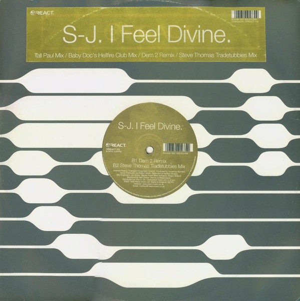 S-J : I Feel Divine (12")