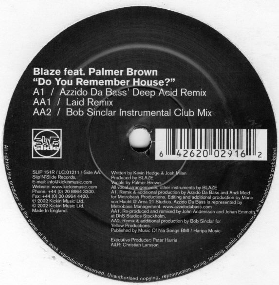 Blaze : Do You Remember House? (Part 2) (12")