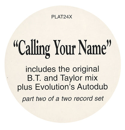 Libra Presents Taylor : Anomaly - Calling Your Name (12")