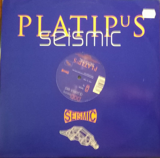 Pob Featuring DJ Patrick Reid* : Bluebottle / Fly (12", MPO)