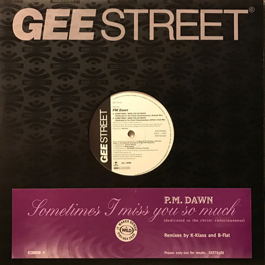 P.M. Dawn : Sometimes I Miss You So Much (Dedicated To The Christ Conciousness) (12", Promo)