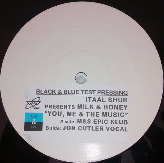 Itaal Shur Presents Milk & Honey : You, Me & The Music (2x12", Promo)