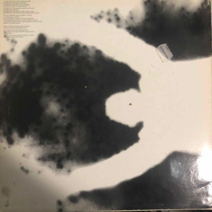 Roc : [Dis]count Us In (2x12", Promo)