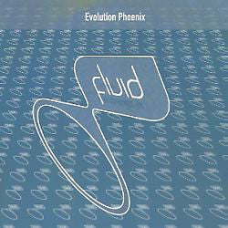 Evolution : Phoenix (12")
