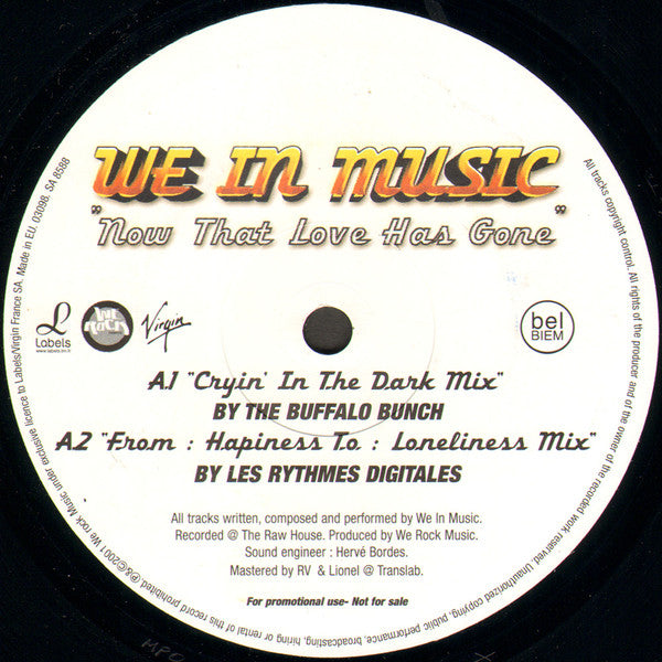 We In Music : Now That Love Has Gone (12", Promo)
