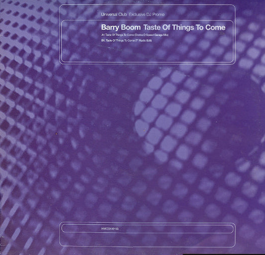 Barry Boom : Taste Of Things To Come (12", M/Print, Promo)